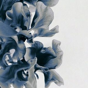 Meet your Posher, Mariely